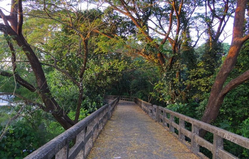 Ecology as Infrastructural to Urban Fabric and Incorporated to Heritage